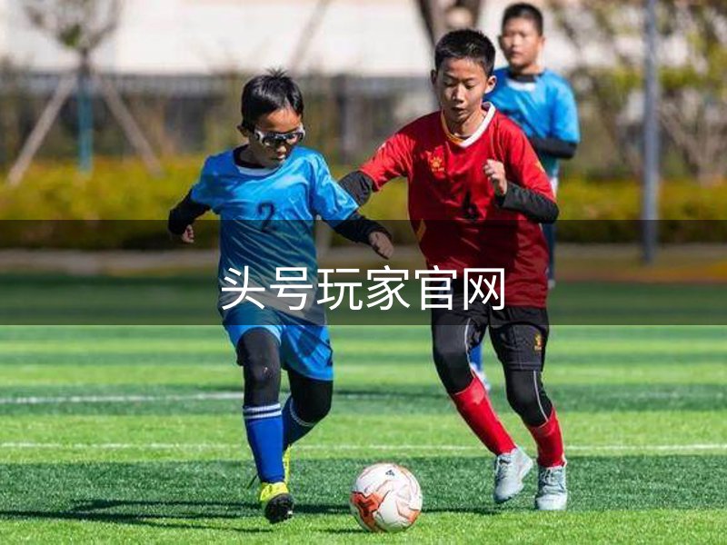 头号玩家官网概况